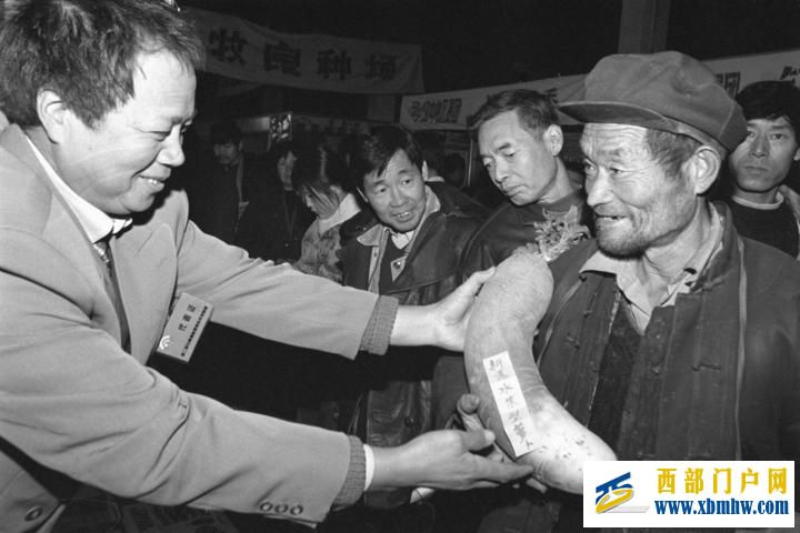这场“农业科技大集”红火33年(图2) 这场“农业科技大集”红火33年(图2)